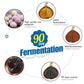 Riorand Black Garlic 4 Cans Of 170G Whole Black Garlic Aged For Full 90 Days Black Garlic 1.5 Pounds
