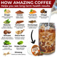 Superfoods Company Instant French Roast Coffee with Adaptogenic Mushrooms, Hazelnut Flavor, 8.47 Ounce
