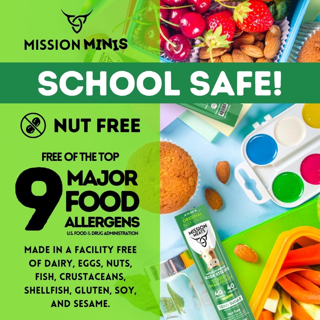 Mission Meats Kids Mini Beef Sticks - 100% Grass Fed Beef Sticks, Toddler Snacks, Healthy Snacks For Kids, Kids Meat Sticks, Pal