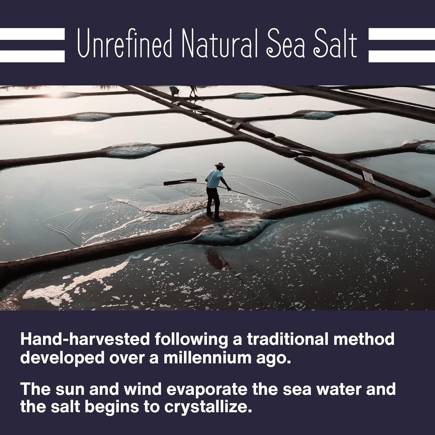 Le Marinier Celtic Salt Organic Fine Ground, 1 lb - 16oz. Mineral Rich 100% Natural and Unrefined. Refillable Salt Shaker. Frenc
