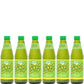 Ting, Sparkling Jamaican Grapefruit Flavored Beverage, 10.14oz Glass Bottle (Pack of 6, Total of 60.84 Fl Oz)