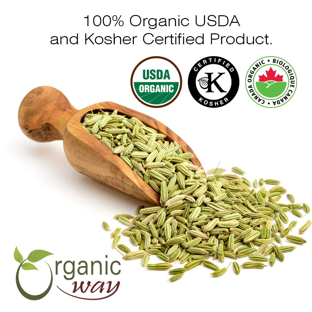 Organic Way Fennel Seed Whole - Raw, Vegan, Non-GMO, Gluten Free - 1/2 Pound - USDA Certified - Origin: India