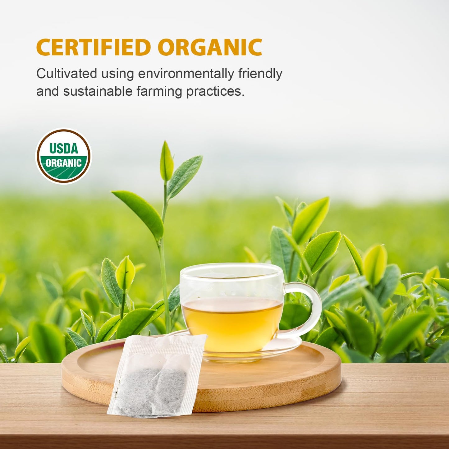 Soeos Organic Oolong Tea  100 Tea Bags  Low Caffeine  6.3 Ounce  Hot and Cold Brew  Fresh and Healthy Oolong Tea