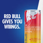 Red Bull Fuji Apple and Ginger Winter Edition Energy Drink  with 114mg Caffeine plus Taurine & B Vitamins  12 Fl Oz  Pack of 24 Cans