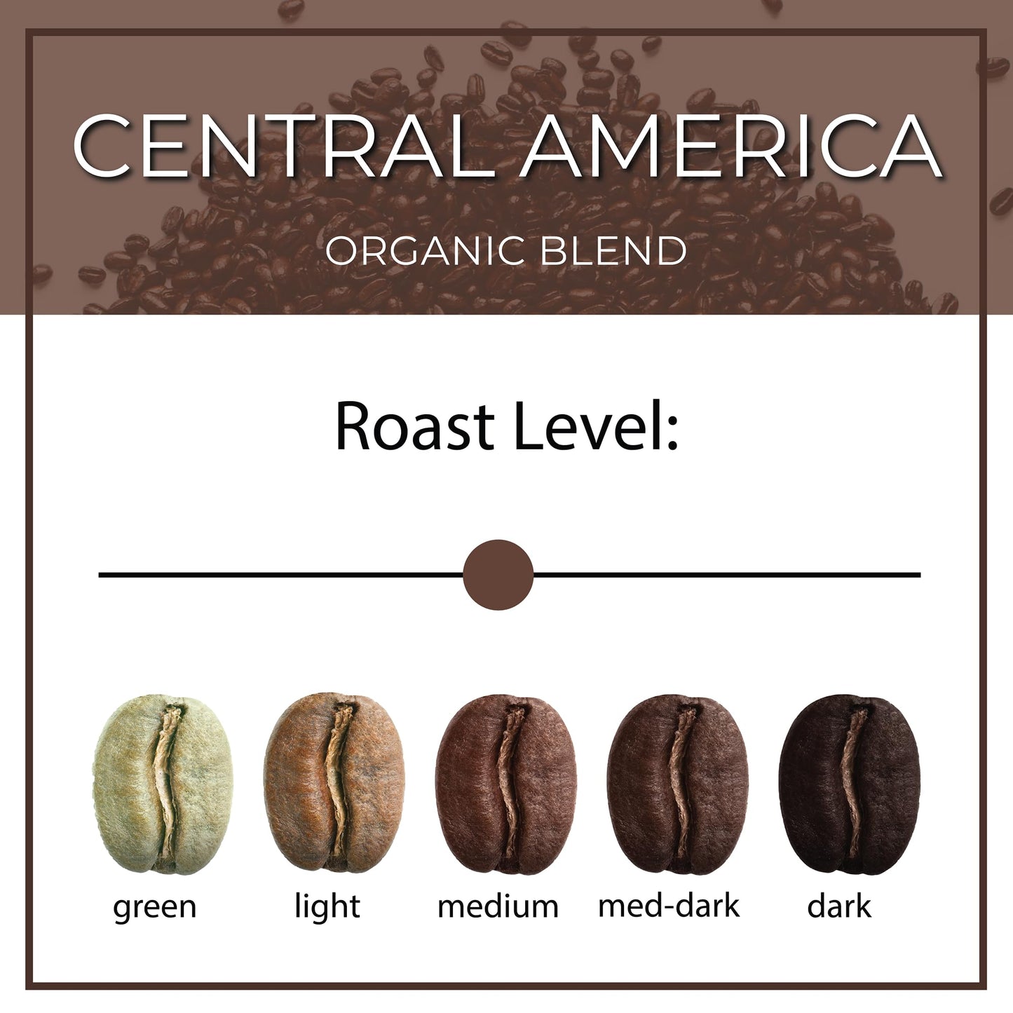 The Bean Organic Coffee Company Central America, Medium Roast, Ground Coffee, 16-Ounce Bag, Caf   Molido Tostado Org  Nico