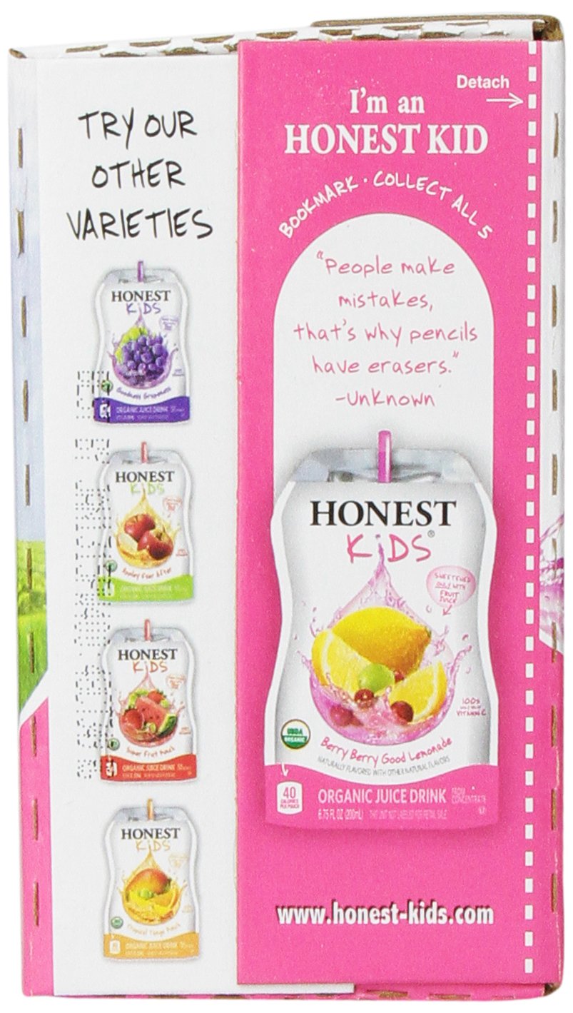 Honest Kids, Berry Berry Good Lemonade (8-Count), 54 Ounce