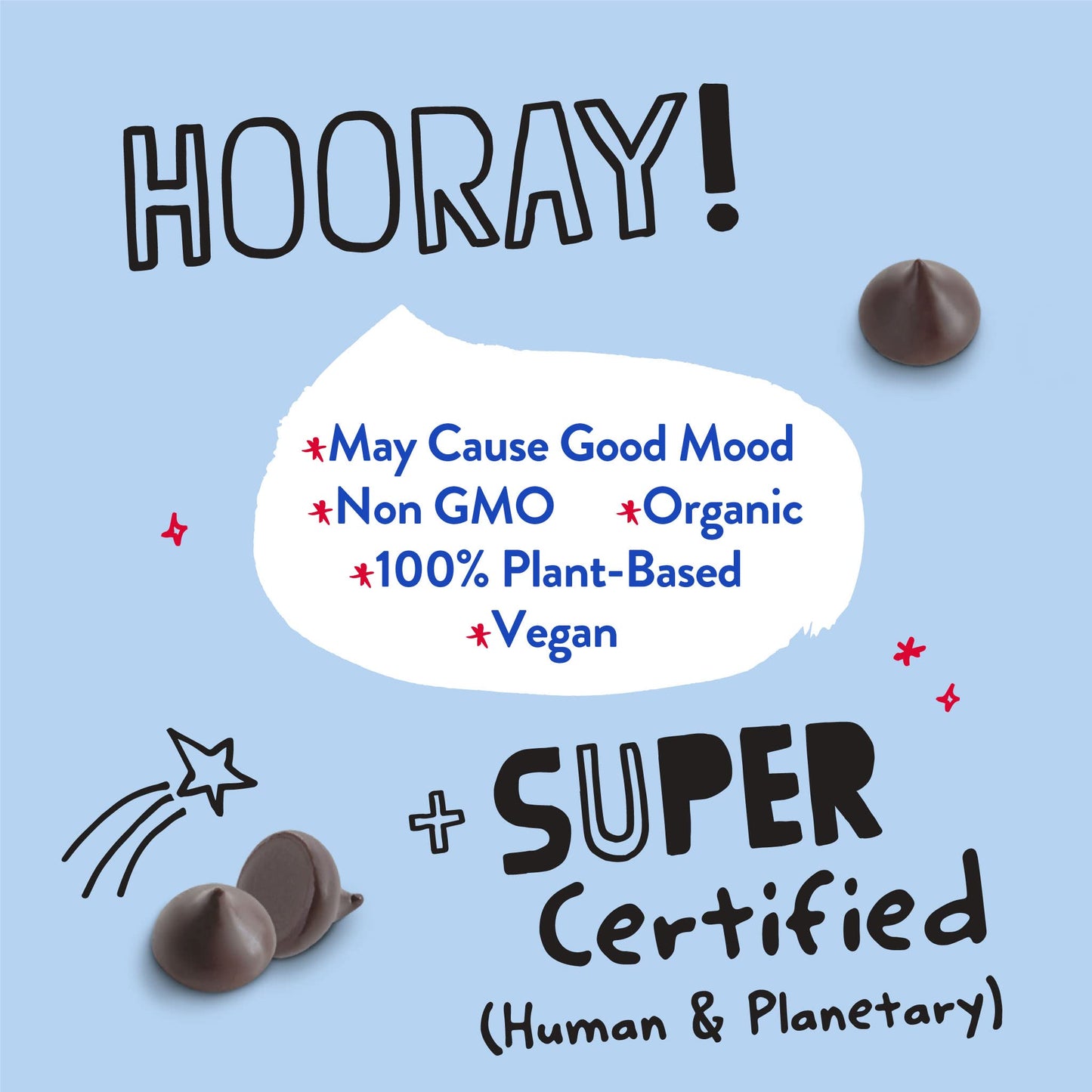 Pascha Bulk Organic Semi-Sweet Chocolate Chips, 55% Cacao, 10 Pound