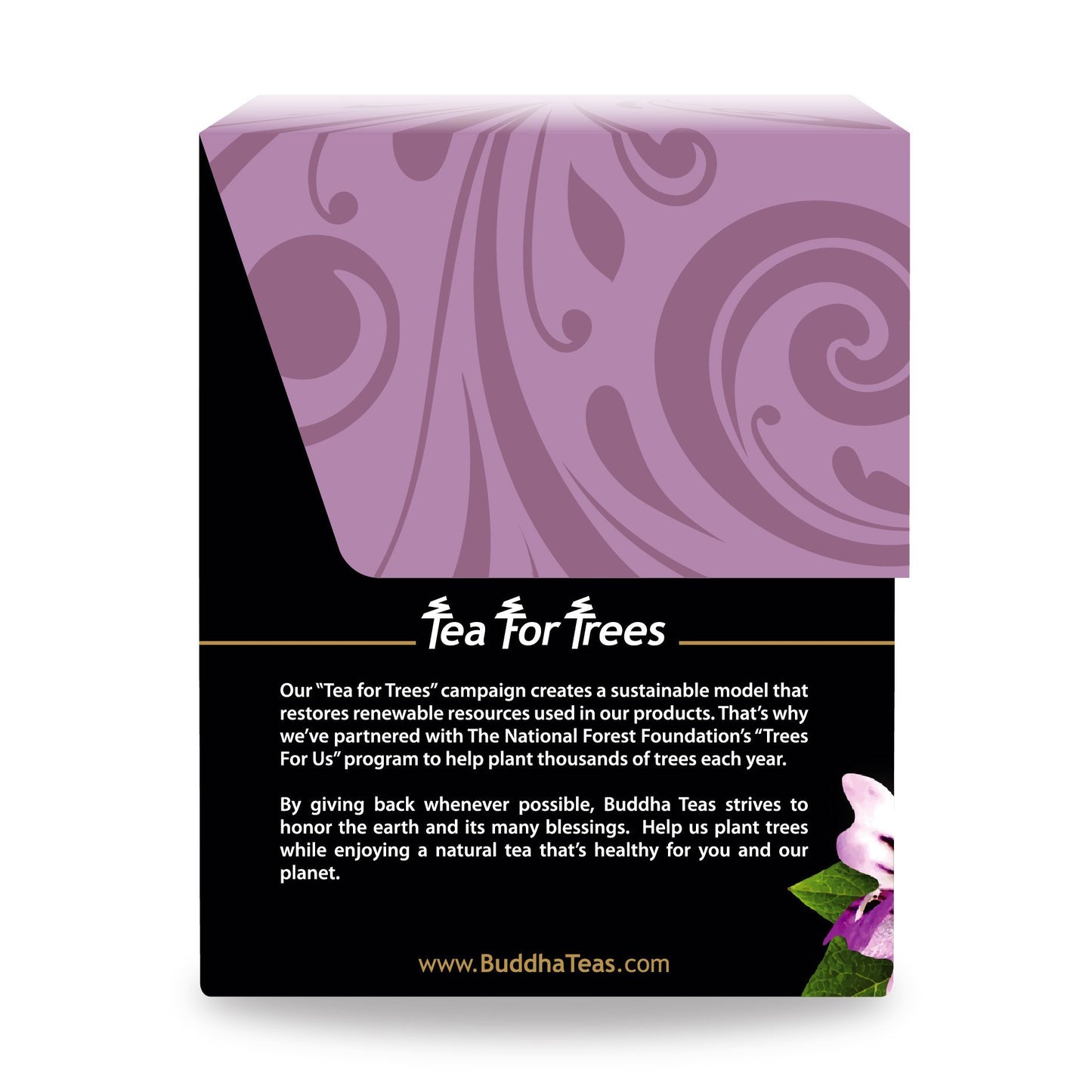 Buddha Teas Organic Eyebright Herb Tea - 18 Bleach-Free Tea Bags - OU Kosher, USDA Organic