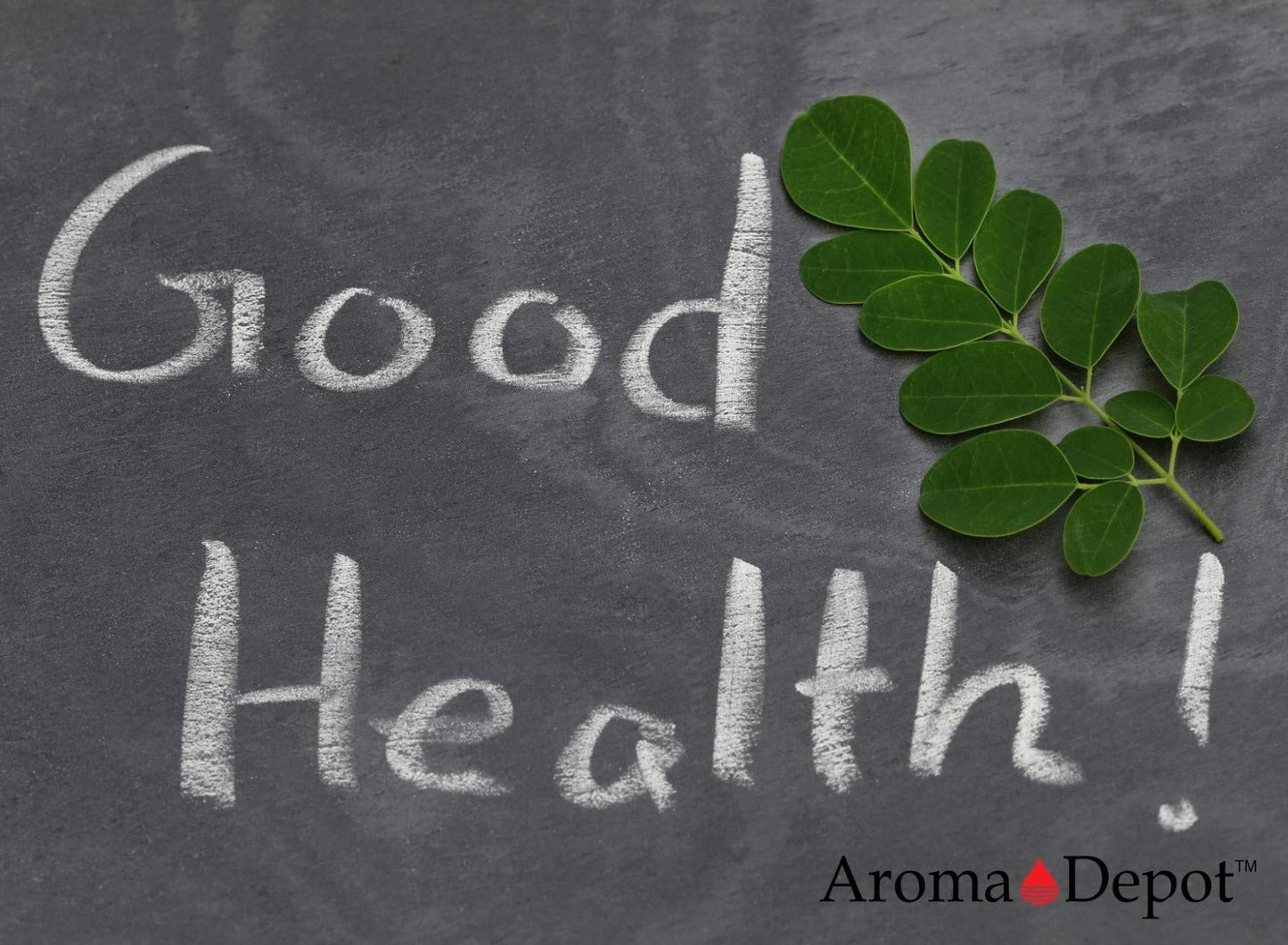 Aroma Depot Moringa Seeds KERNEL 100% Natural Raw Superfood 8 oz Off White
