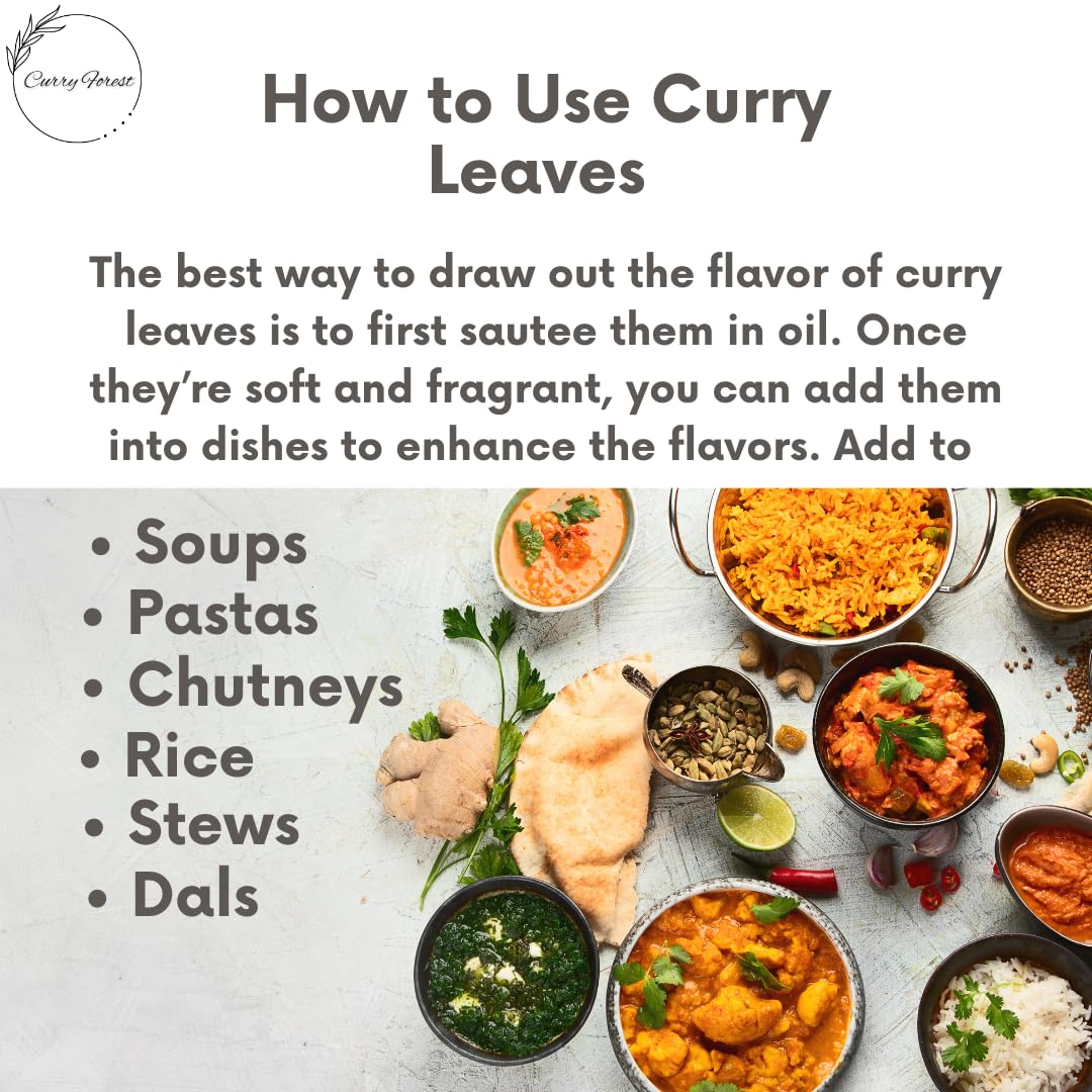 Curry Forest Dried Curry Leaves | 100% Naturally Grown | 20-25 g | Large Size | Product of USA