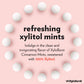 Xyloburst XyloBurst Cinnamon Xylitol Mints | Sugar Free, Gluten Free, Vegan | 200 Count Jar | Model XLB00283