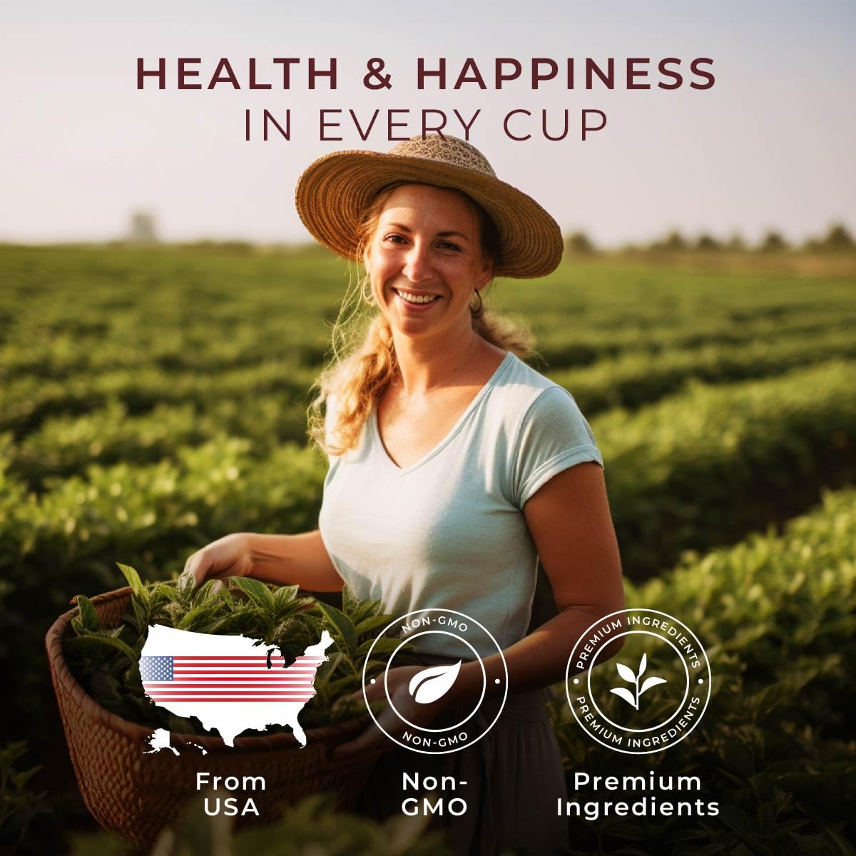 Gya Tea Co Peppermint Herbal Tea Pods - Decaf Wellness Tea, 24 Count, Comfort & Relaxing