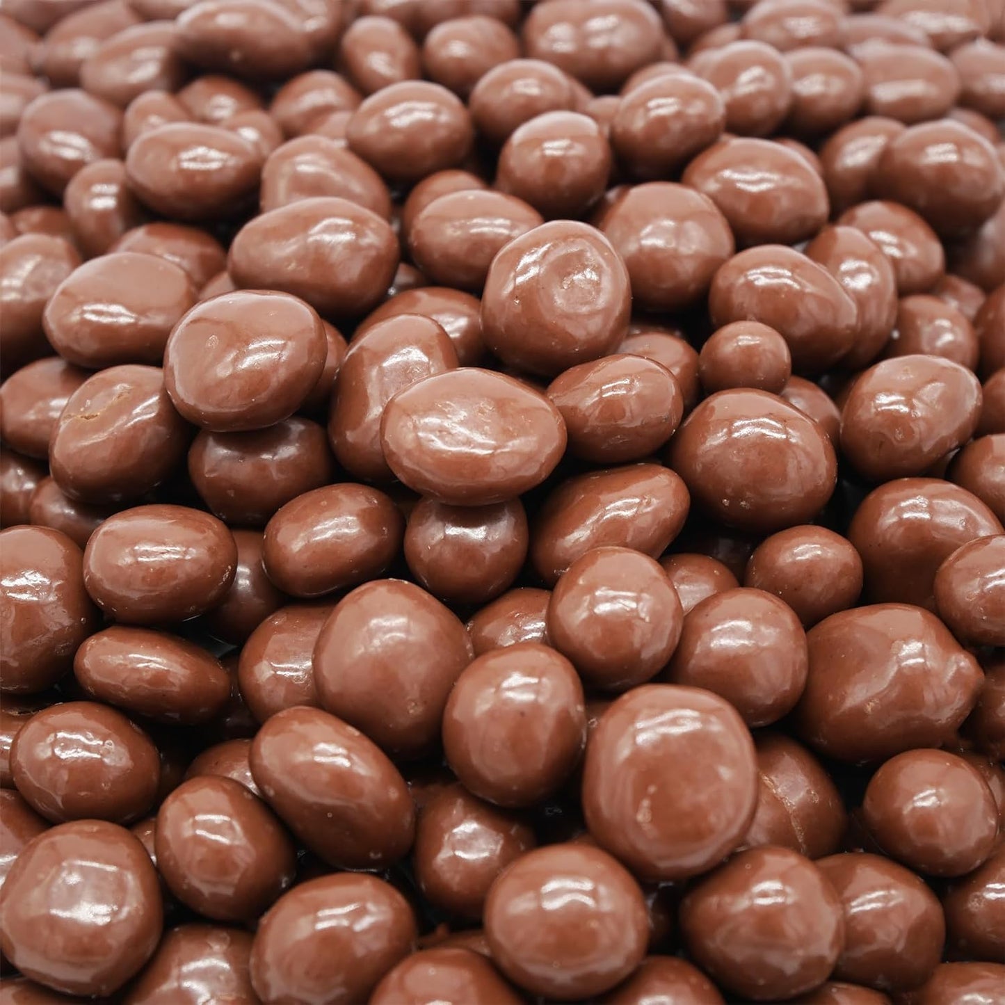 Hayden Valley Foods Milk Chocolate Covered Raisins - No Artificial Flavors - 26 oz (Pack of 3) - Bulk 4.8 Pounds Total