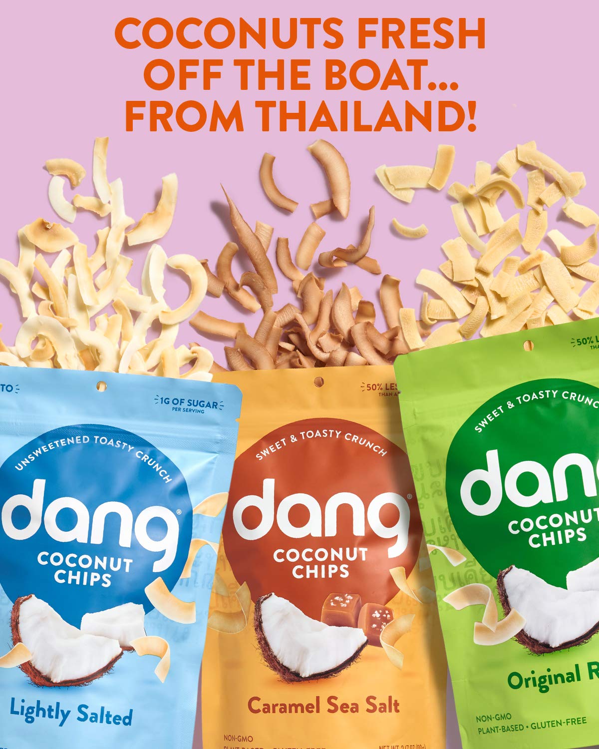 DANG Toasted Coconut Chips, Vegan, Gluten Free, Non-GMO, 3.17 oz, Variety Pack (Pack of 6)