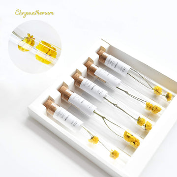 KKOKDAM Tea Gift Set - Chrysanthemum Flower Tea Stick - Loose Leaf Tea Set, Blooming Tea Flowers, Korean Tea Set, Unique Tea Gif