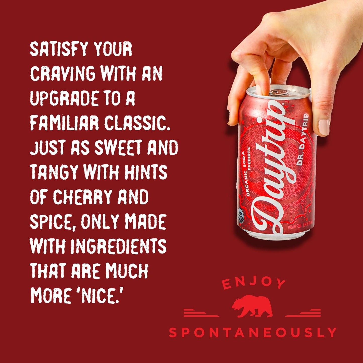 Daytrip Organic Sparkling Prebiotic Soda, Low Sugar Soda And Low Calorie Healthy Soda Alternative, Prebiotic Drink For Gut Healt