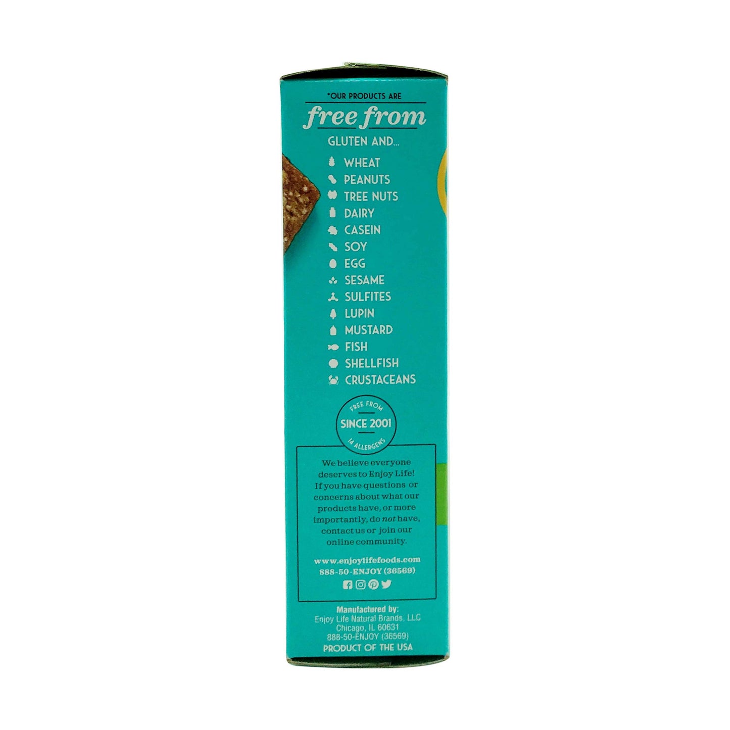 Enjoy Life, Snack Bar, Caramel Apple, Gluten Free, 5.75 Ounce, 1 Pack