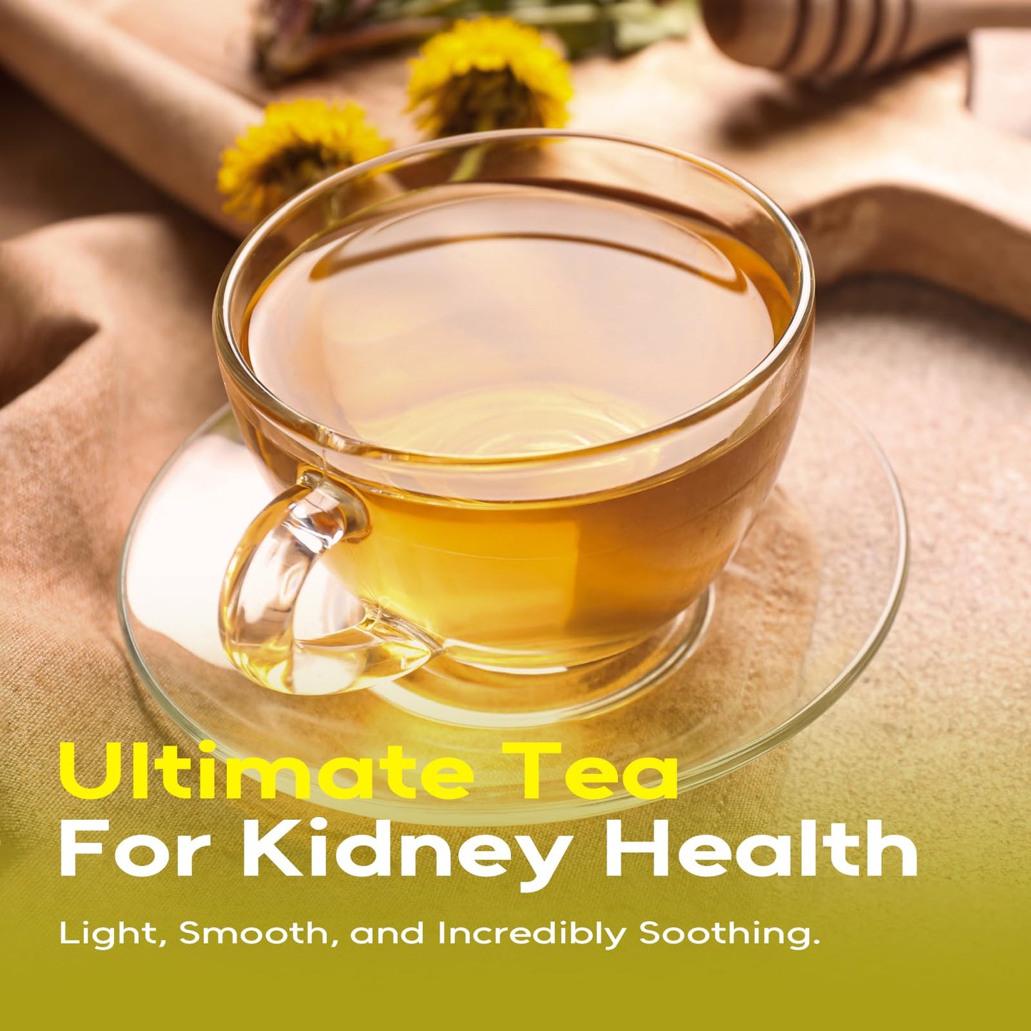 FullChea - Dandelion Leaf & Root Tea Bags  100 Teabags  1.5g/bag - Natural Dandelion Herbal Tea for Liver & Kidney Health - Non-GMO - Caffeine-free - Support Digestion & Boost Immune System