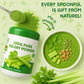 Gephron 18OZ Pure Celery Powder - 100% Natural, Non-GMO, Gluten-Free Seasoning, Perfect for Smoothies and Baking