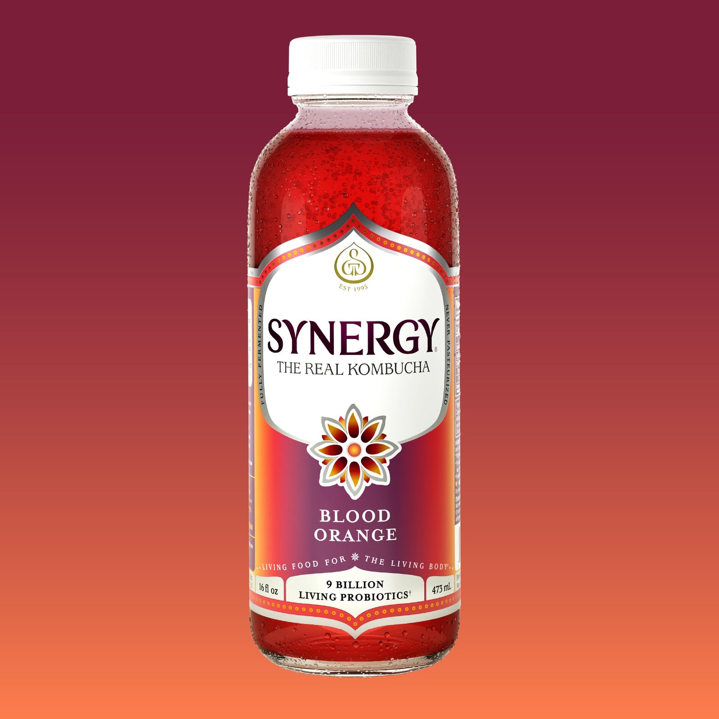 SYNERGY The Real Kombucha - Blood Orange - 16 fl oz Bottle - Raw Probiotic Drink for Gut Health and Immune Support