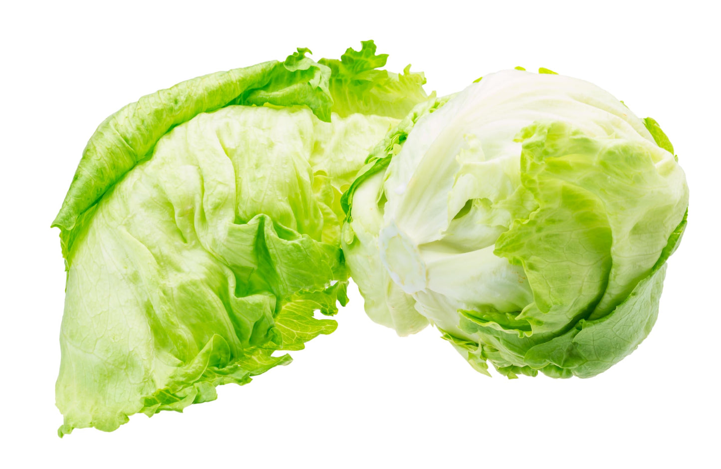 Fresh Iceberg Lettuce By Rawjoy Farms