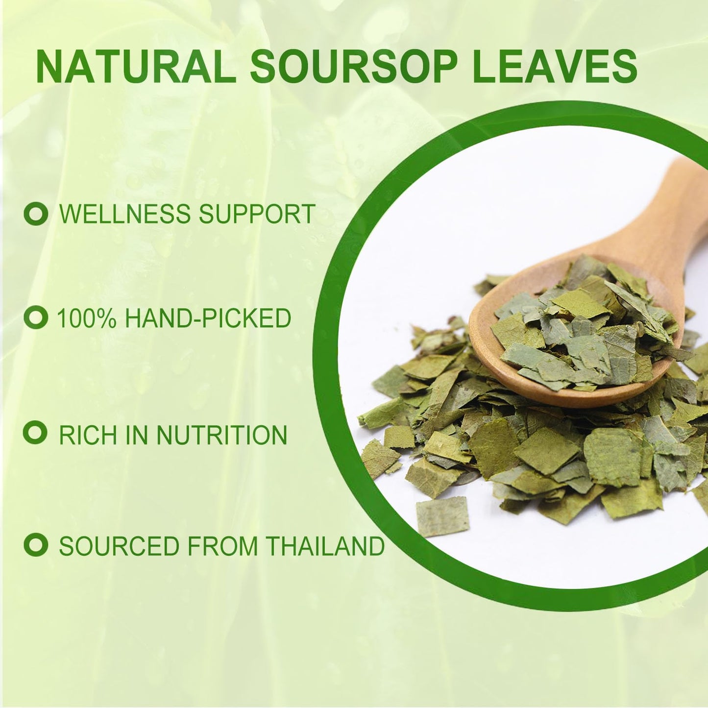 Jarteela Soursop Tea Bags - 1.5g x 60 Count - Non-GMO, Caffeine-free Herbal Tea for Digestive Support and Healthy Skin