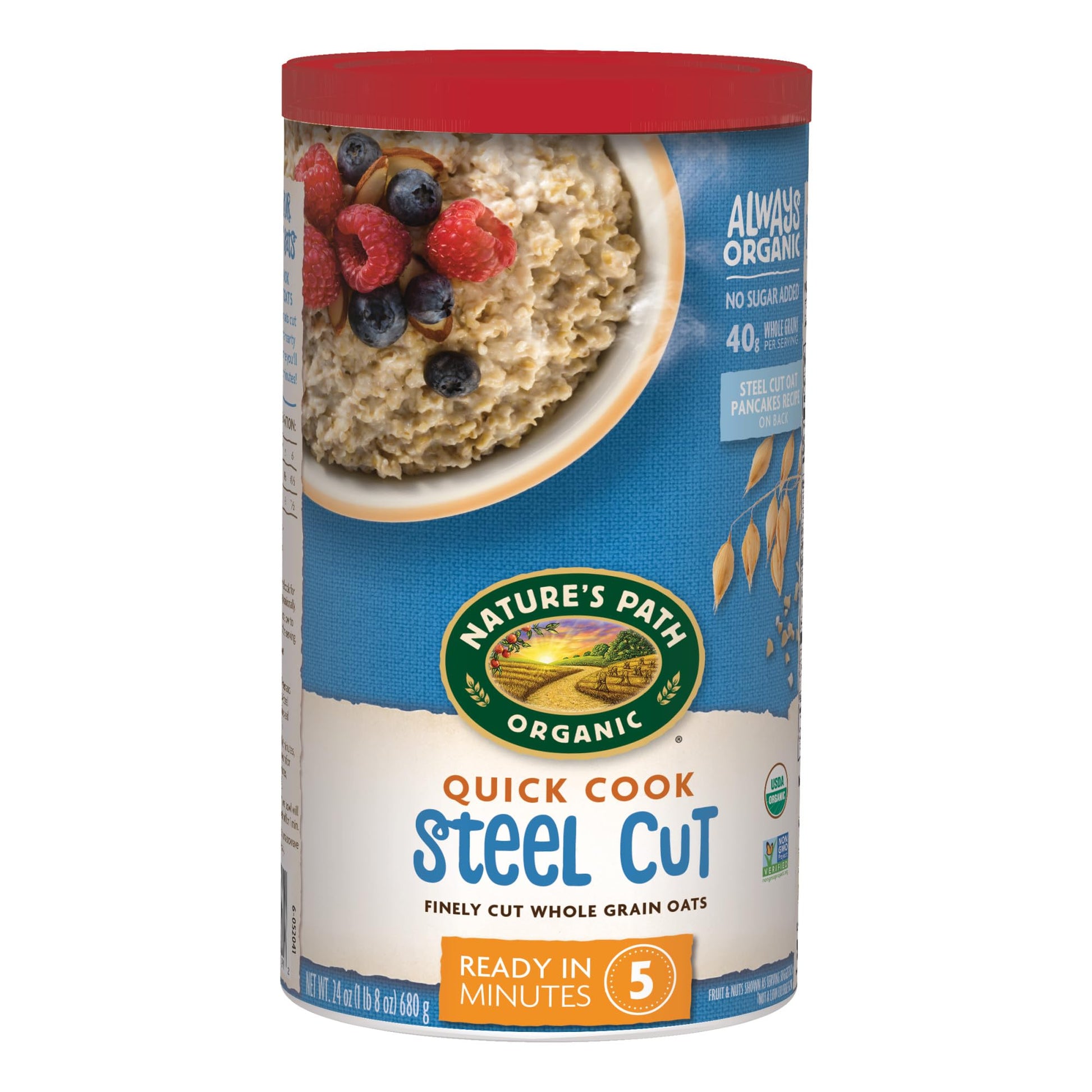 Natures Path Organic Quick Cook Steel Cut Oatmeal, 24 oz (Pack of 1), Non-GMO
