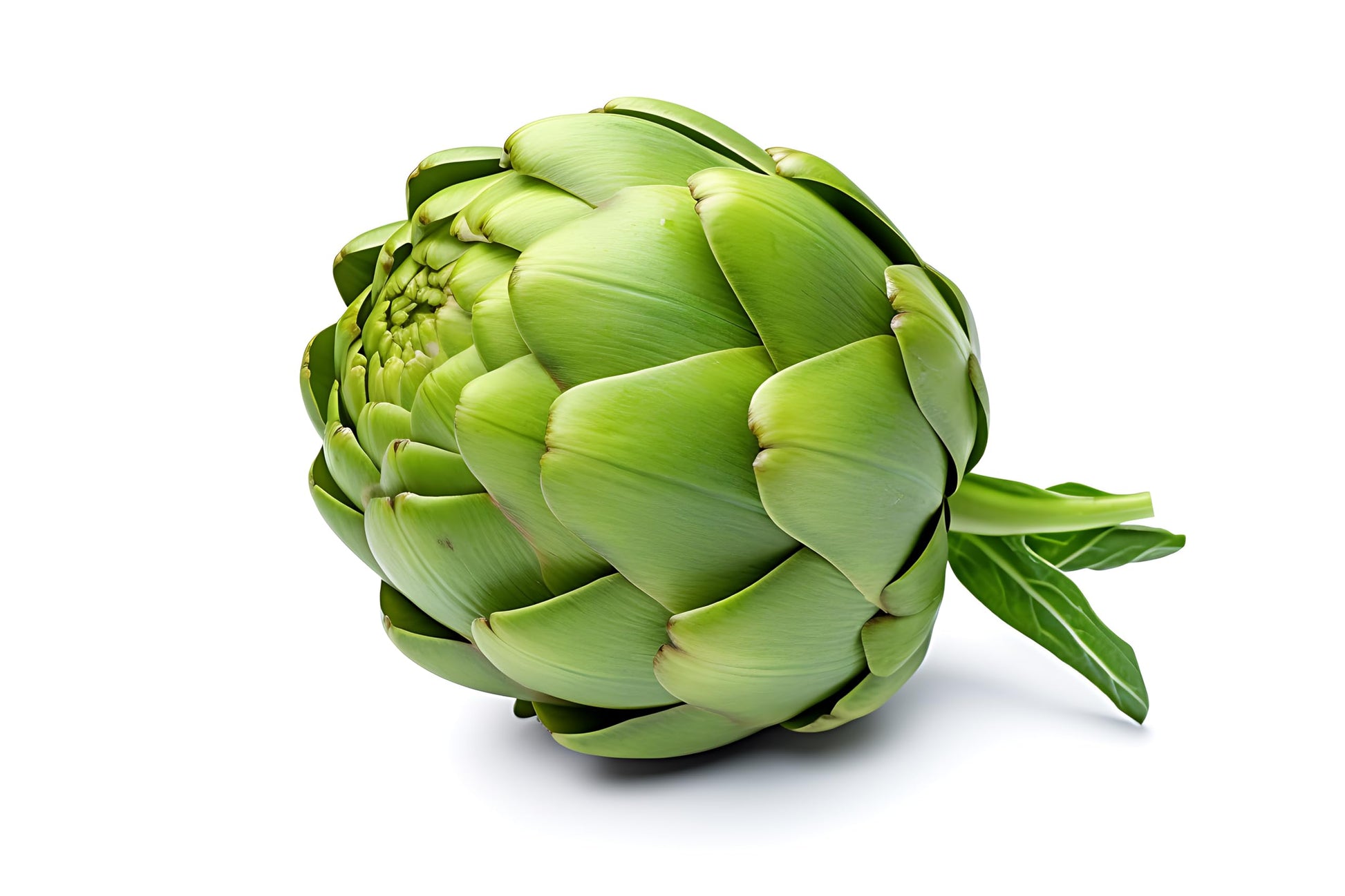 Organic Fresh Green Artichokes by RawJoy Farms