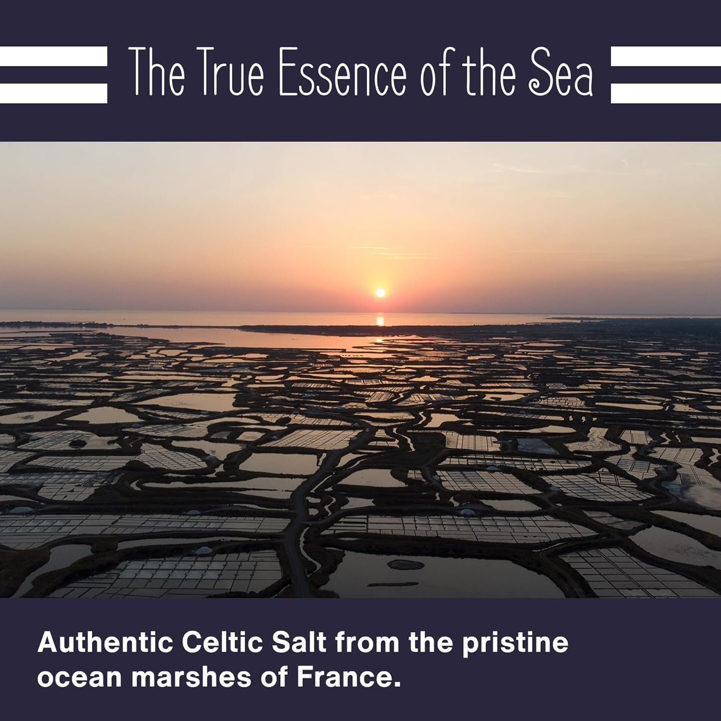 Le Marinier Celtic Salt Organic Fine Ground, 1 lb - 16oz. Mineral Rich 100% Natural and Unrefined. Refillable Salt Shaker. Frenc