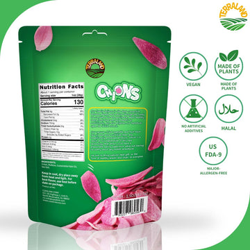 Terraland Onions Crispy Chips - Sea Salt, Crispy & Crunch, Vegan, Snack 1.5Oz Bag - Pack Of 2