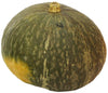 Organic Kabocha Squash