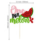 Gyufise 1Pc Watermelon Cake Topper Glitter One In A Melon Cake Pick Watermelon First Birthday Cake Decorations For Summer Fruit