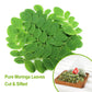 FullChea Moringa Tea - Herbal Tea for Digestion & Immunity, 50 Teabags, Non-GMO, Caffeine-Free, Pure & Natural Moringa Leaves
