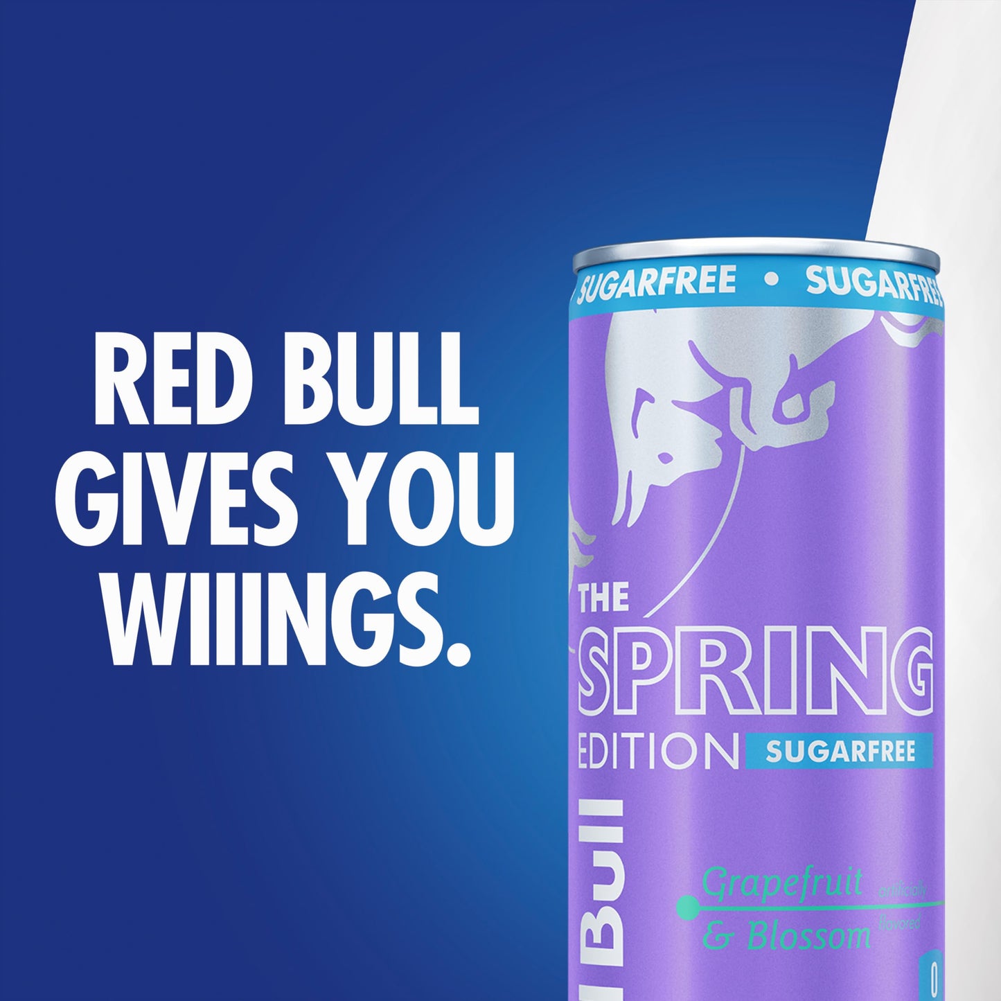 Red Bull Spring Edition Sugarfree Energy Drink  Gfruit  12 fl. oz.  6 x 4 Cans  Pack of 24 Cans  with 114mg Caffeine  Taurine & B Vitamins