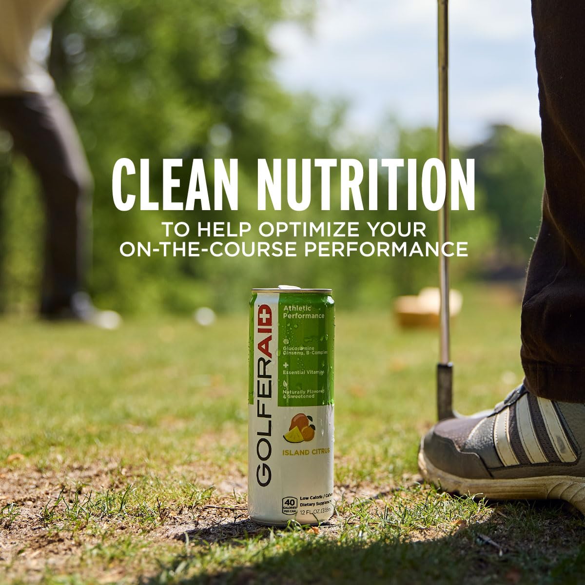 LIFEAID GOLFERAID Performance Blend, 12-oz Cans, Pack of 24, No Caffeine, Vegan, Clean Energy, Glucosamine, Turmeric, Electro