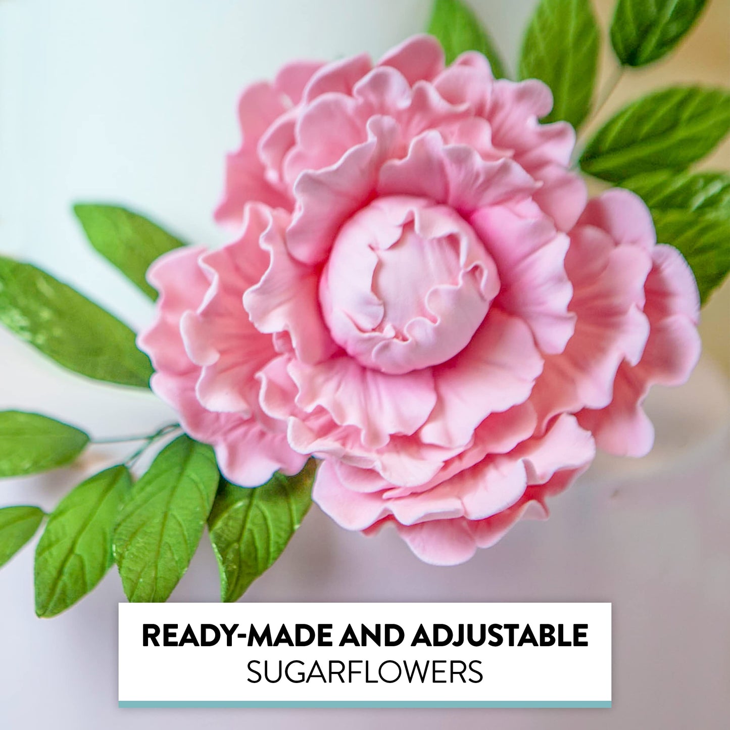 Global Sugar Art Premium Peony Sugar Cake Flowers, Pink, Model 34251, 1 Count