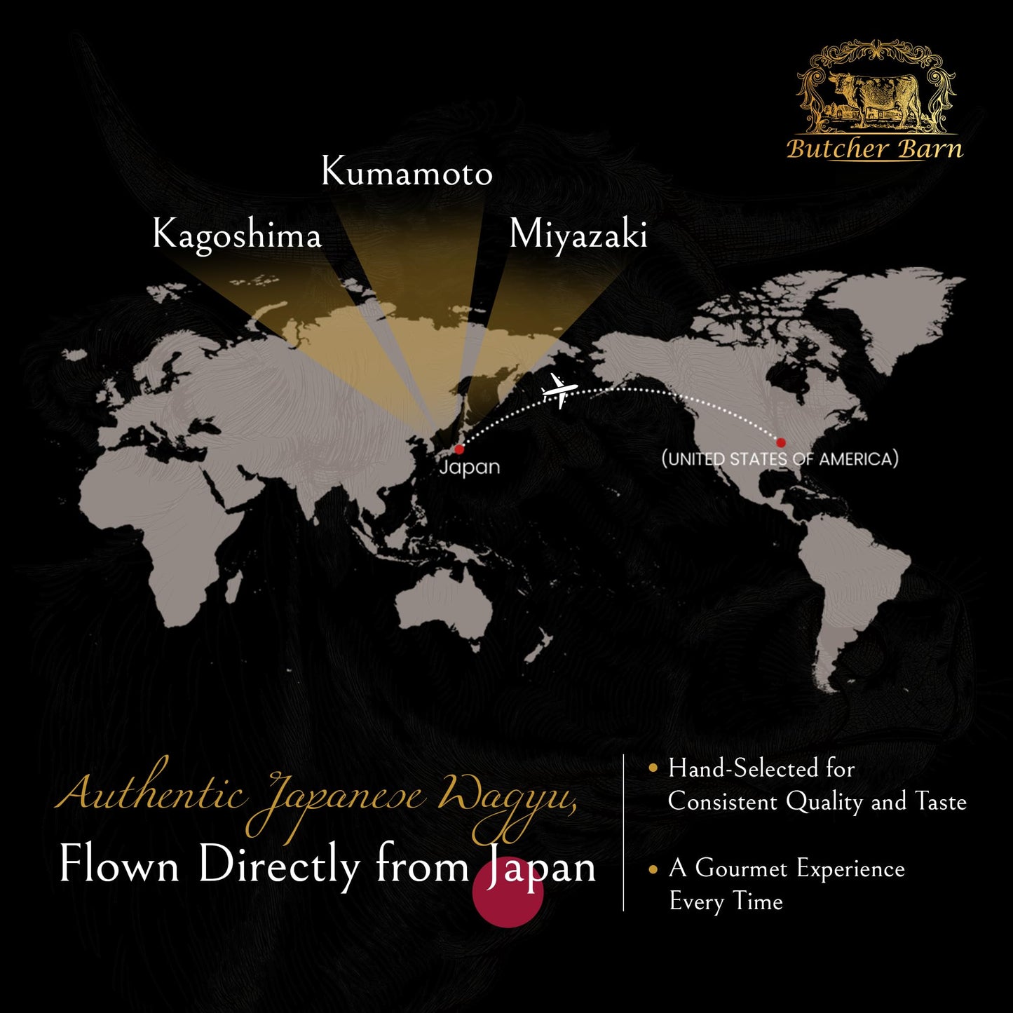 Premium Super Trimmed Japanese Wagyu A5+ Filet Mignon | Full-Blood Olive Fed | Bms 10-12 Marbling Score | Gift Box Idea -Beef Te