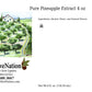 OLIVENATION Pineapple Flavor Extract - Gluten Free, Sugar Free - 4 Fl Oz