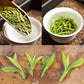 Luxtea Chinese Famous Tea, Grade AA, Xi Hu Long Jing, 8 Ounce (Pack of 1)