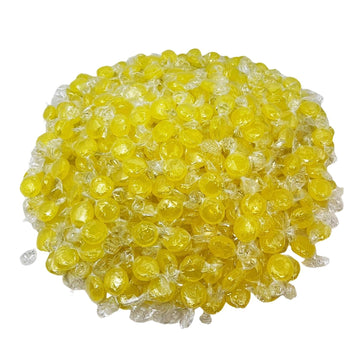 Tns-Sugar-Free Hard Candy, Individually Wrapped, 1 Pound Pack The Nile Sweets (Lemon)