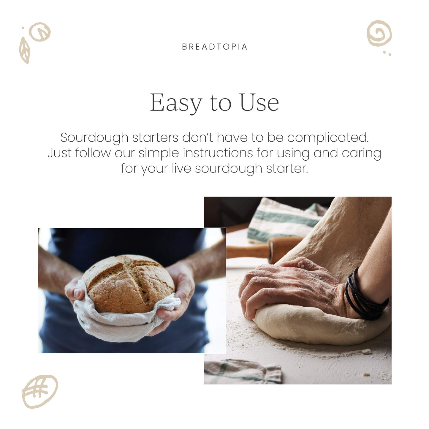 Breadtopia Sourdough Starter (Dry)  Made From Organic & Non-Gmo Ingredients  Easy To Follow Instructions  Make Homemade Sourdoug