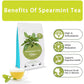 SAMCCI Spearmint Tea Bags - Pure Spearmint Leaves, Non-GMO, Caffeine-free, 40 Count