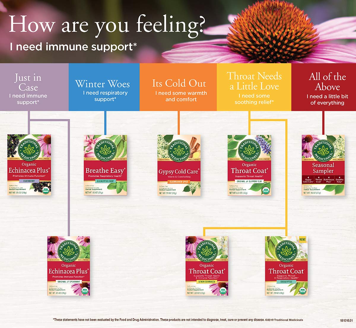 Traditional Medicinals Organic Echinacea Plus Seasonal Tea (Pack of 1), Promotes Immune Function, 16 Tea Bags
