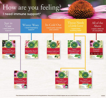 Traditional Medicinals Organic Echinacea Plus Seasonal Tea (Pack of 1), Promotes Immune Function, 16 Tea Bags