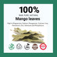 Akshit Mango Leaves Herbal Tea, Caffeine-Free Loose Leaf, 5.2 oz, Non-GMO