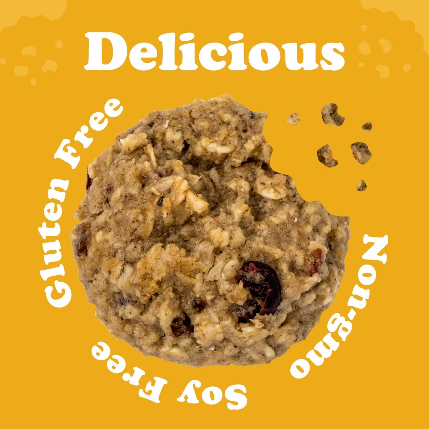 Alyssas Vegan Oatmeal Bites  Gluten Free Cookies, Healthy Snacks From The Bakery  Dairy Free, Sugar Free, Low Carb, Keto Prote