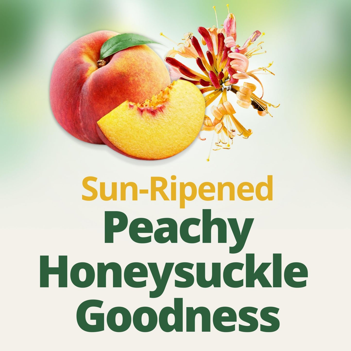 Del Monte Fruit Refreshers Peaches in Honeysuckle Flavored Water, 7 oz, 2 Count - Pack of 6, Refreshing Fruit Drink