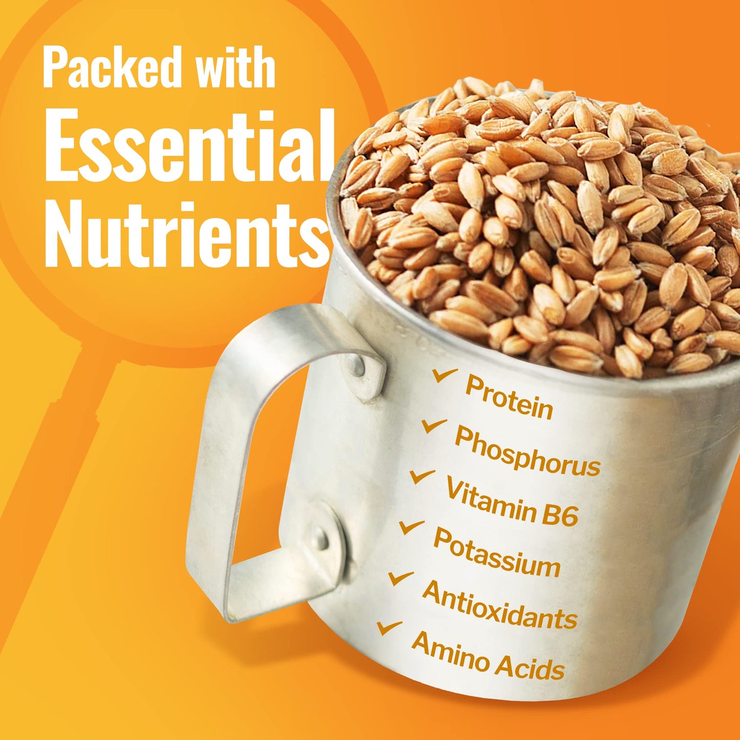 Grand Teton - 100% Organic Hard White Wheat Berries, Us-Grown Wheat Berries Bulk, Packed With Fiber, Iron, And Protein, Premium