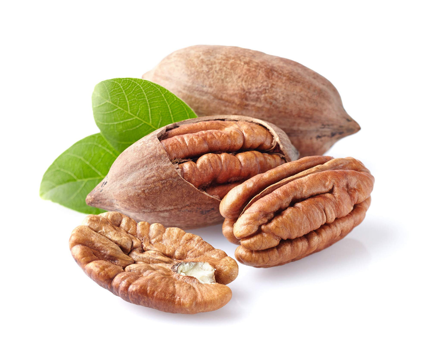 Anna and Sarah Premium Georgian Raw Fresh Pecans in Shell (9 Lbs in Box)