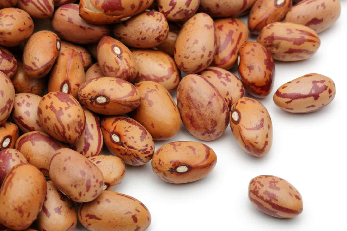 Dasher'S Spice & Beans Dried Pinto Beans | Resealable Jar | 3 Lbs.